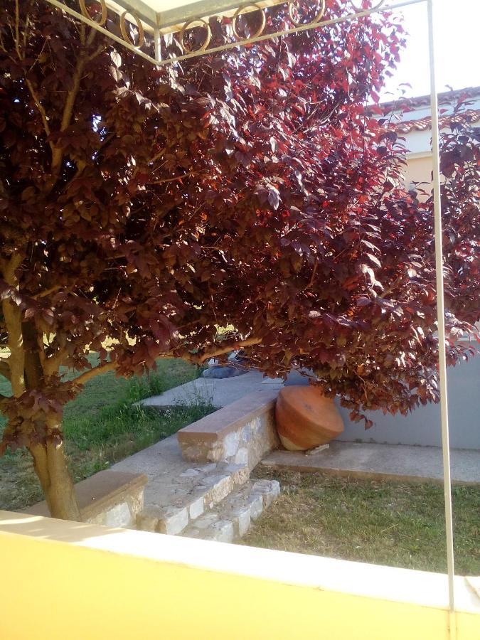 Studios Στουσ Πυργουσ Θερμησ Mytilíni Eksteriør billede